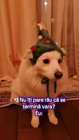 Câte luni au mai rămas? #fyp #fyppppppppppppppppppppppp #memestiktok #kinderpuppy #craciun 