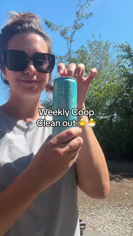 Weekly coop clean out fueled by @Alani Nutrition . Coop cleaned with my fave coop scooper (linked in Amazon storefront) and my fave eco- friendly insect repellent from @First Saturday Lime #chickensoftiktok #chickens #backyardchickens #fyp 