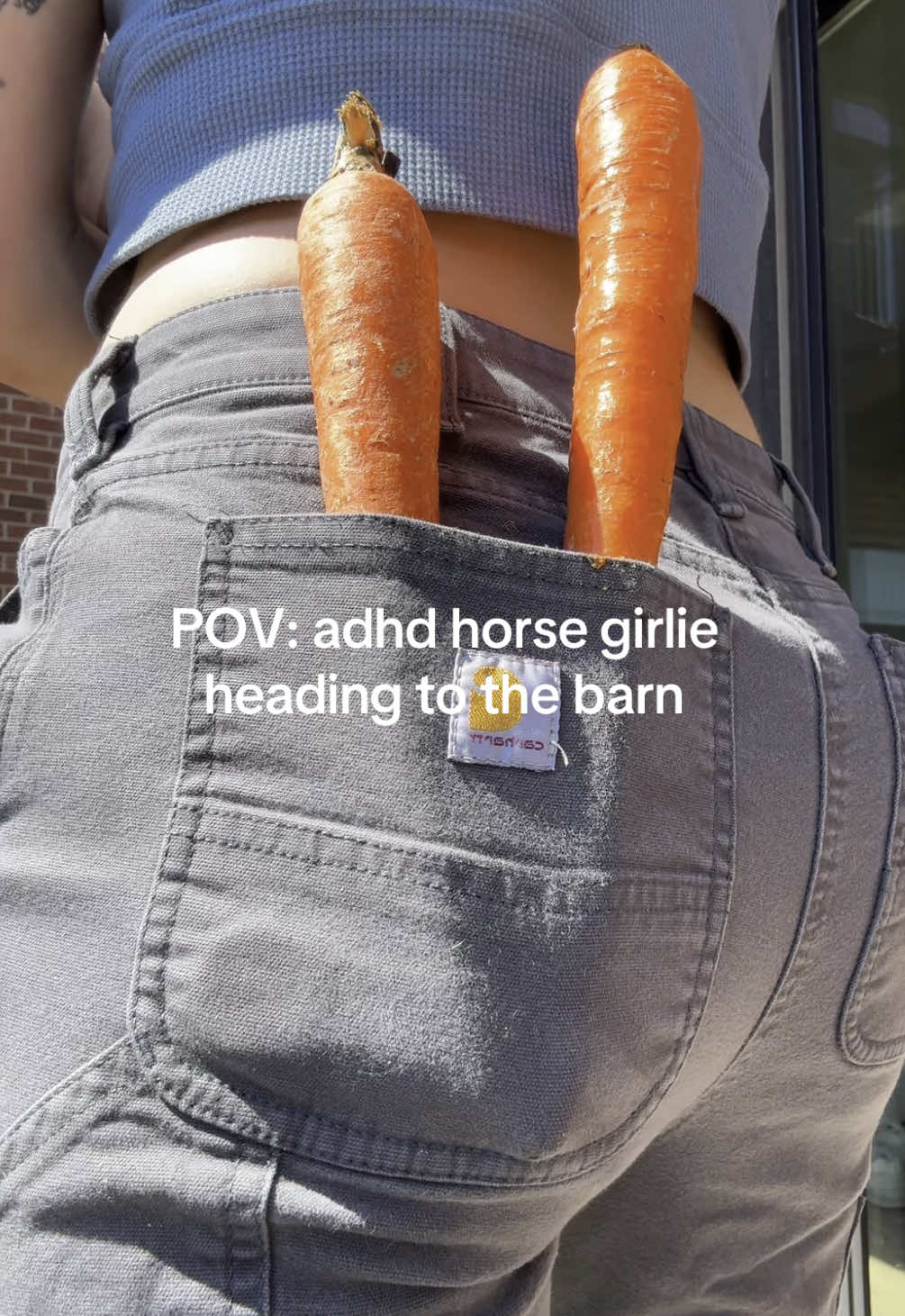 It’s a stressful journey #horses #barnlife #horsesoftiktok #adhdcheck 