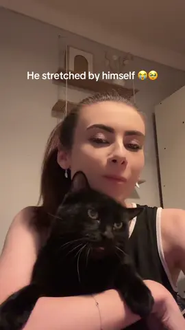 #dustythecat 