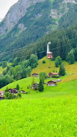‏#Grindelwald ‏🇨🇭 ‏🇨🇭 ‏🇨🇭 ‏ is one of the most beautiful villages in Switzerland . ‏#switzerland #switzerlandsgems ‏#grindelwald #schwende 