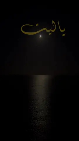 #CapCut 