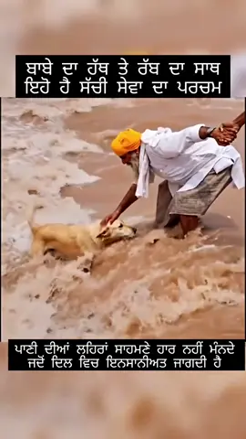 #lehndachardapunjab🇵🇰❤️🇮🇳 #merasohnapunjab🏡❤️ #punjabfloods2025 #prayforpunjab #waheguruji_mehar_kro 