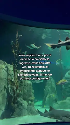Si nadie te lo ha dicho hoy: gracias por seguir aquí. Gracias por quedarte.  Septiembre el mes sobre la prevención del Suicidio #consejosdevida   #pensamientos #motivacionpersonal  #fyp #psicologia 