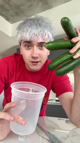 Reminder this cucumber salad exists (lowkey like it better with baby cucumbers…)