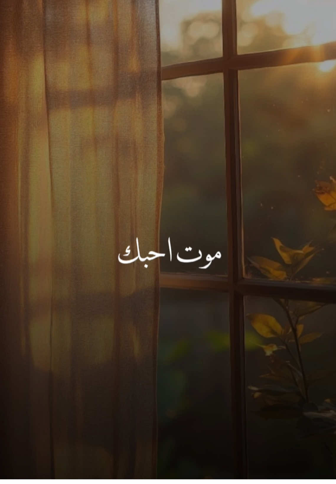موت احبك لو شعوري ماحكى لك❤️✨يكفي انه في وسط صدري حكى لي❤️✨ #الحال_حالك #موت_احبك #عبدالمجيدعبدالله #عبدالمجيد_عبدالله🤍🎶 #تصميم_فيديوهات🎶🎤🎬 