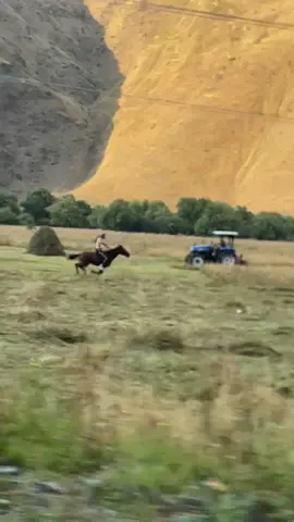 #foryou #fyp #kazbegi #ქურანაა❤️💪 #horse ⛰️🐴