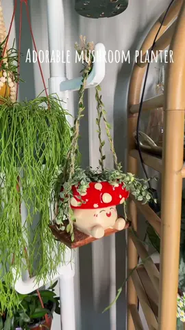 This was an immediate *add to cart* planter. #mushroomplanter #plants #mushroomdecor #plantsoftiktok #planter 