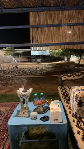 #explor #صالح_النشيرا #خيل #اجواء #عشوايات #explore 