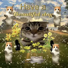 have a beautiful day 😽 I made this video with talkingpets.ai available in App Store 🐈🐈 #viralcat #catsoftiktok #sillycatsoftiktok #catlover #sillycat 