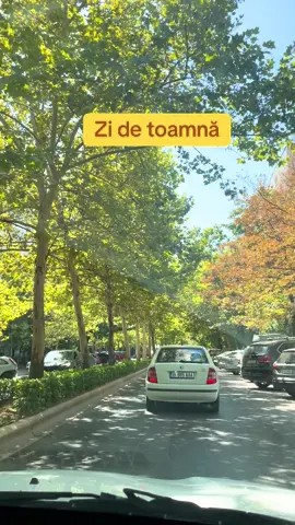#autumn #toamna #bucuresti #f #fyp 