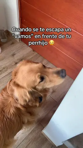 Upssss 🫣🫣