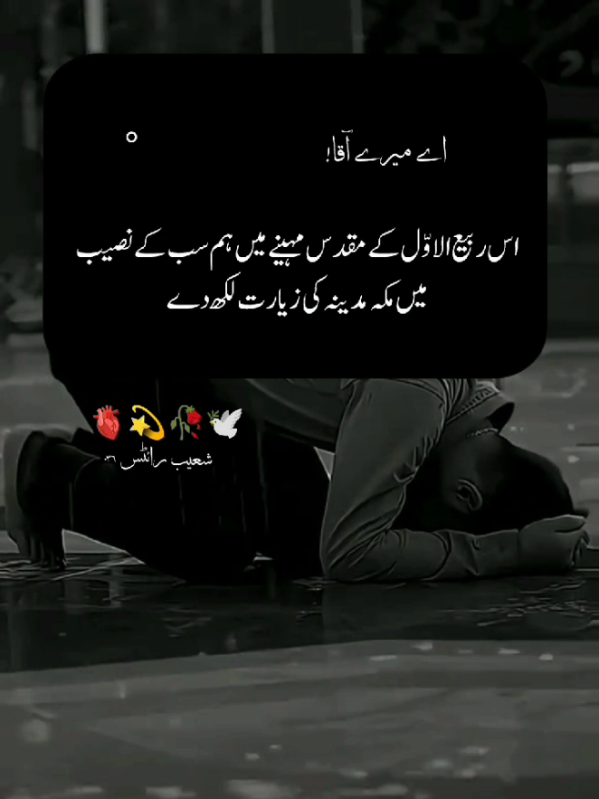 Ameen
