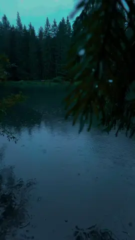 🌲🍃#nature #calm #darkaesthetic #naturephotography #foryоu 