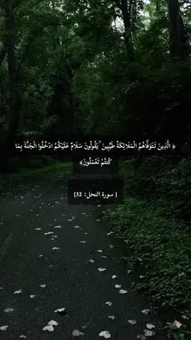 الشيخ سعود الشريم || تلاوة أيآت من سورة النحل ٠٠ #سعود_الشريم #قران_كريم #سورة_النحل #السعودية #100k 