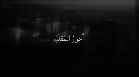 #explore #نايف_حمدان 
