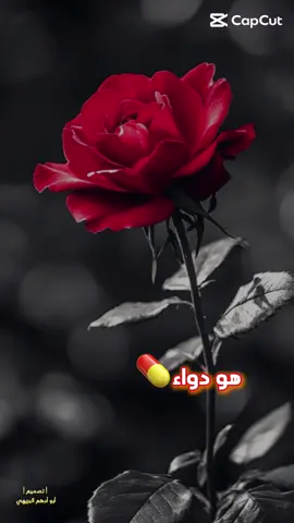 هو دواء قلبي وشرياني #لايك_متابعه_اكسبلور #تصميم_فيديوهات🎶🎤🎬 #مجرد________ذووووووق🎶🎵💞 #ااشعب_الصيني_ماله_حل😂😂 #لايك_متابعه_اكسبلور 