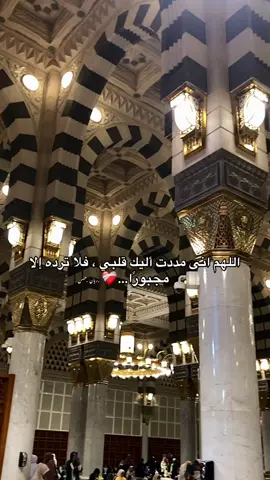 يارب❤️‍🩹🥹#مكة #المدينه_المنوره 