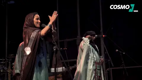 #tinariwen #viraltiktok #algerie🇩🇿 