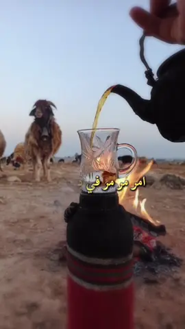 #أكسبلور_شعر_حكم_خواطر 