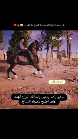 #تصميم_فيديوهات🎶🎤🎬 #خيل_وخياله🐎 #مالي_خلق_احط_هاشتاقات #. . . . . . . . . #خيل_عربي #. #انام_واكعد_اريده_الفيديو_صاعد 