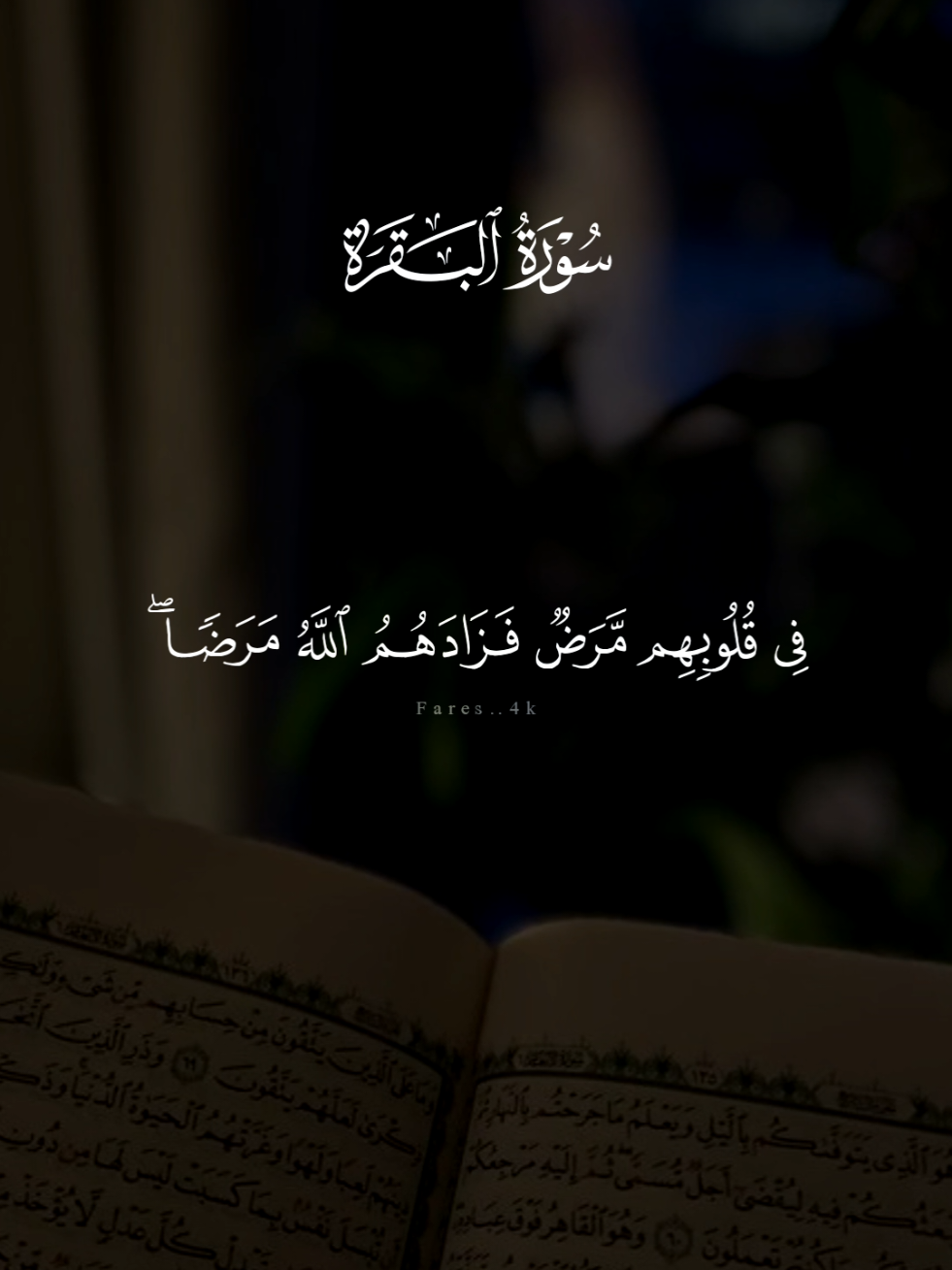 سورة البقرة مشاري العفاسي 🩶 #قران #مشاري_العفاسي #quran #تلاوة_خاشعة #سورة_البقرة 