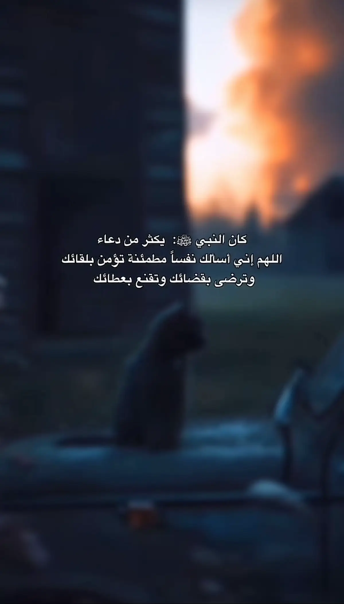 #شعب_الصيني_ماله_حل😂😂 