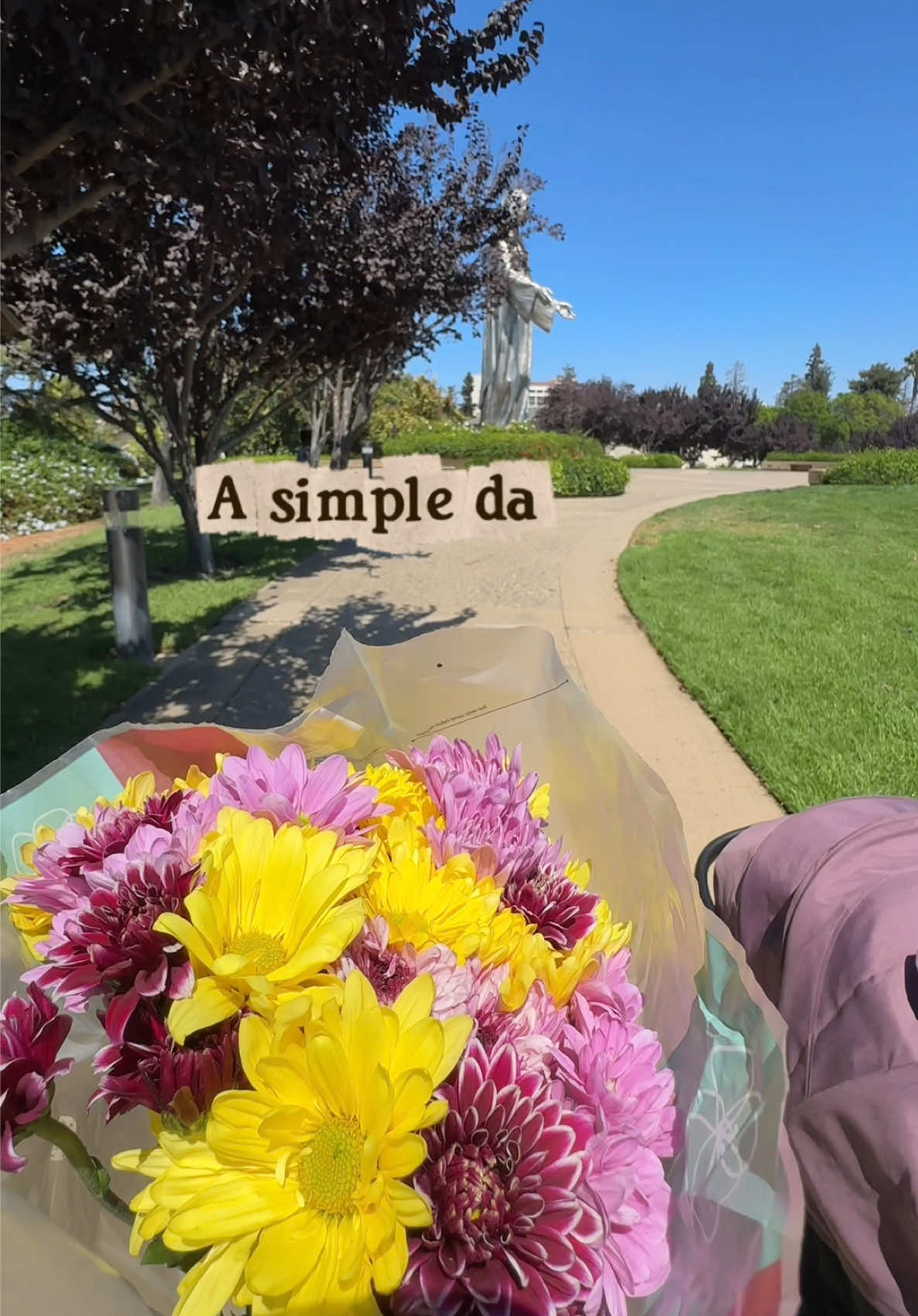 She won’t remember this day—but I always will🩷 #fypシ #familyvlog #bayarea #paratii #firsttimemom 