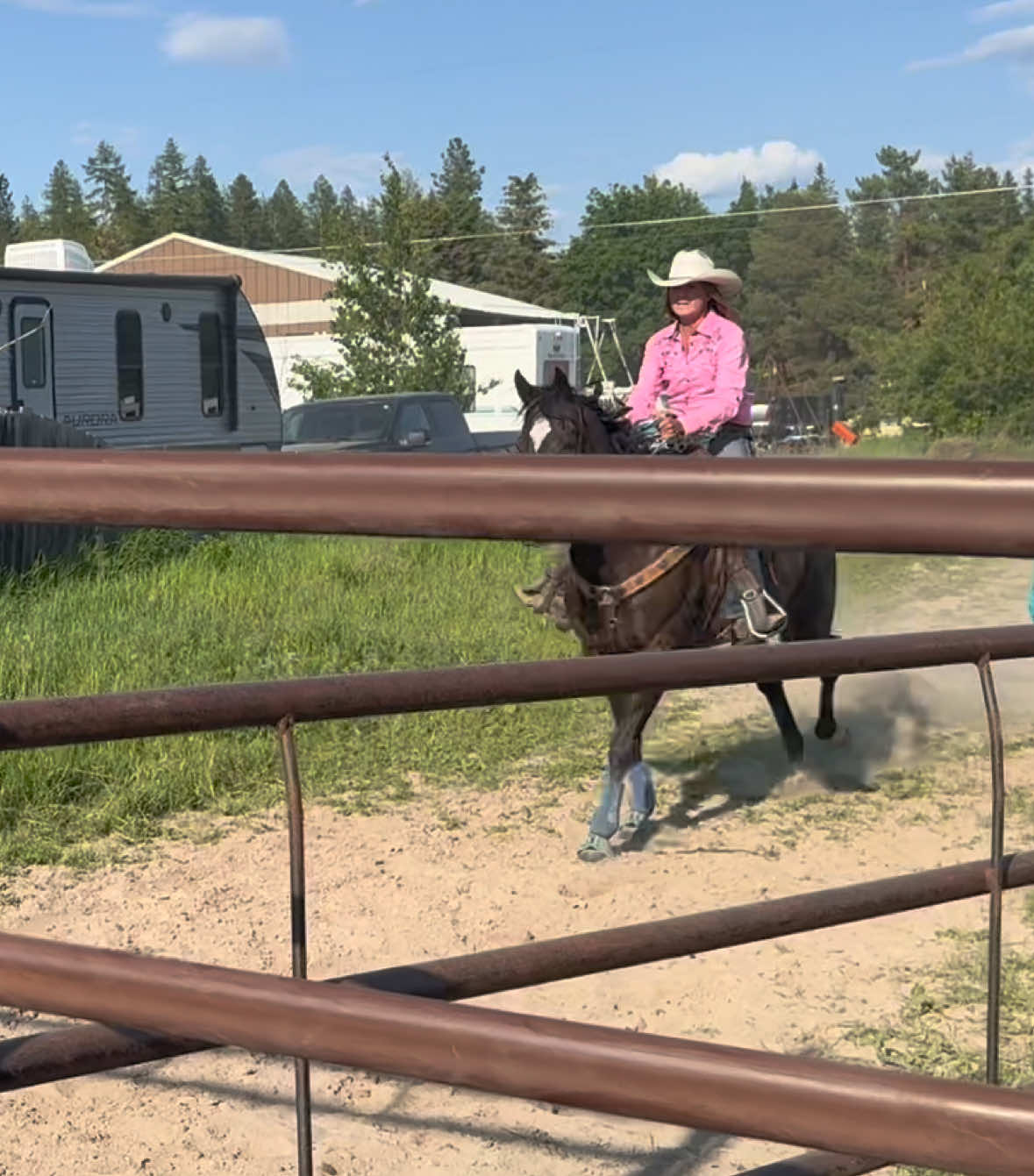 Sizzle ♥️ #foru  #foryourpage #horse #barrelracing #sport 
