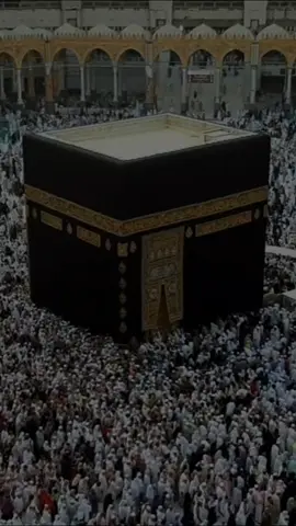 #CapCut #القران_الكريم_راحه_نفسية😍🕋 #قران_كريم_راحة_نفسية #quran #fyp 