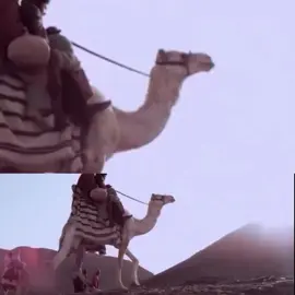 اللهم صل  وسلم وبارك عليك يارسول الإسلام والمسلمين اللهم اغفر لي ولوالدي وللمؤمنين والمؤمنات والمسلمين والمسلمات الأحياء والأموات يارب العالمين آمين 🤲🏻#bts #paratiiiiiiiiiiiiiiiiiiiiiiiiiiiiiii #keşfet #bts #anime 