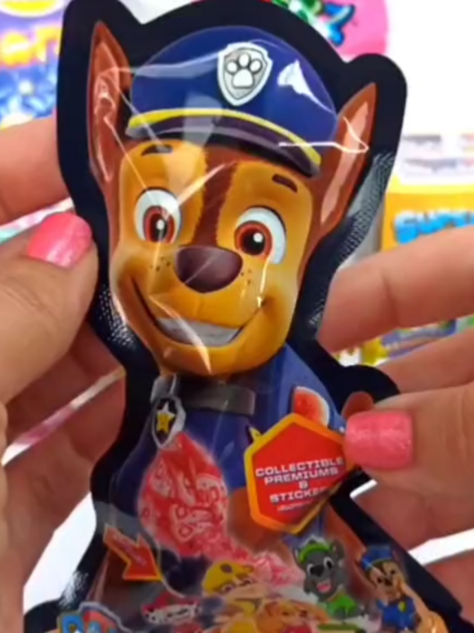 🐾 PAW PATROL 🐾