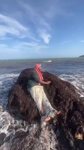 Mama a mermaid behind you!