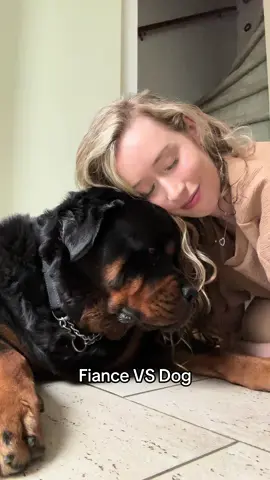 Oops… #dogtok #reletable #rottweilersoftiktok #viral 