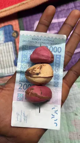 #burkinafaso #burkinafaso🇧🇫 #burkinafaso🇧🇫 #burkinafaso🇧🇫 