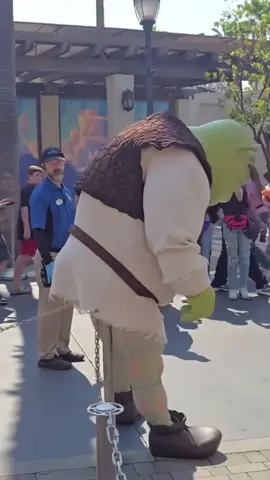 What is Shrek doing?💀 (song: ilyTOMMY - pretty ho3) #ilytommy #underground #shrek #meme #tiktok 