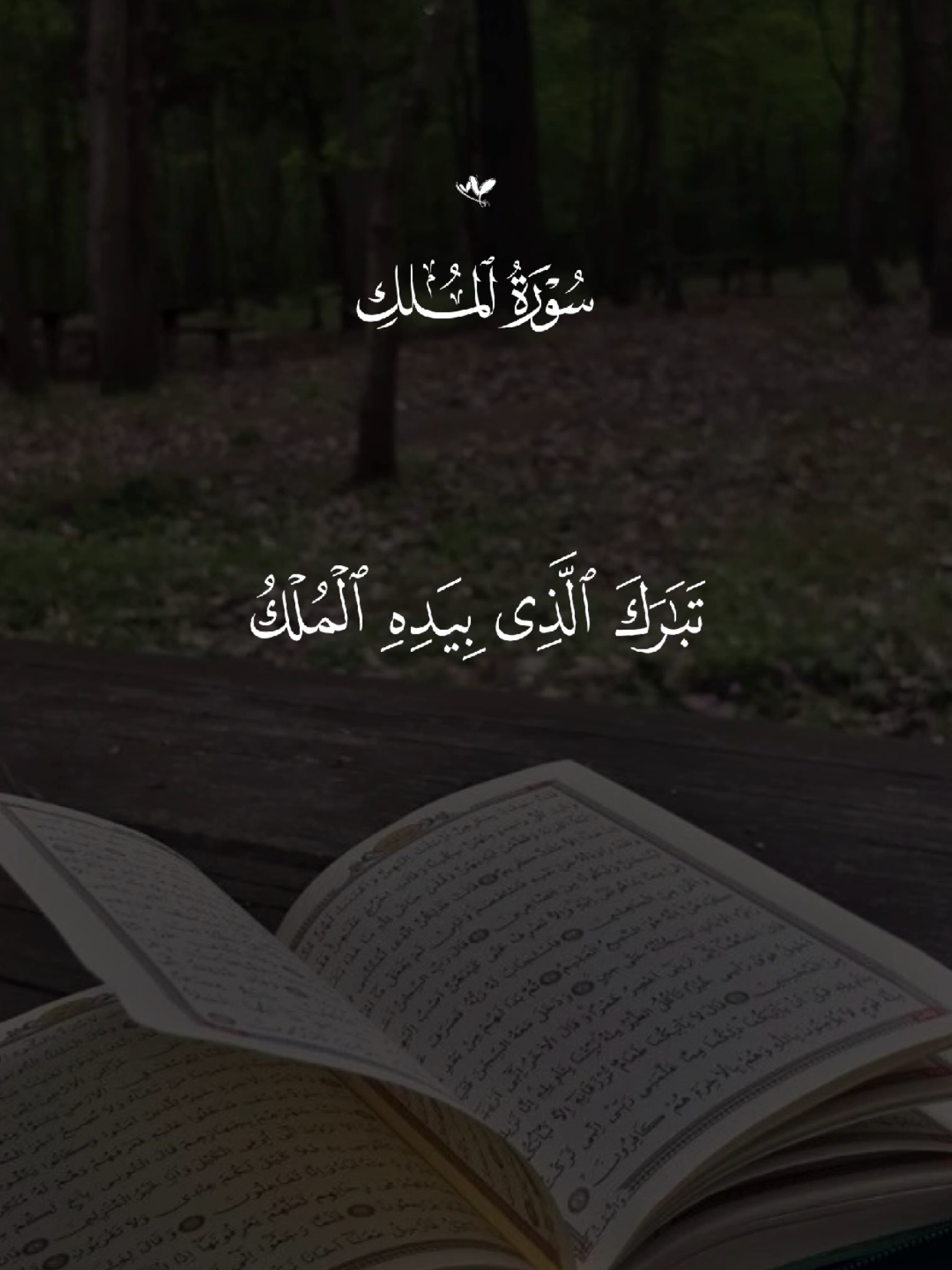 #قران #quran #قران_كريم #quran_alkarim #القران_الكريم 