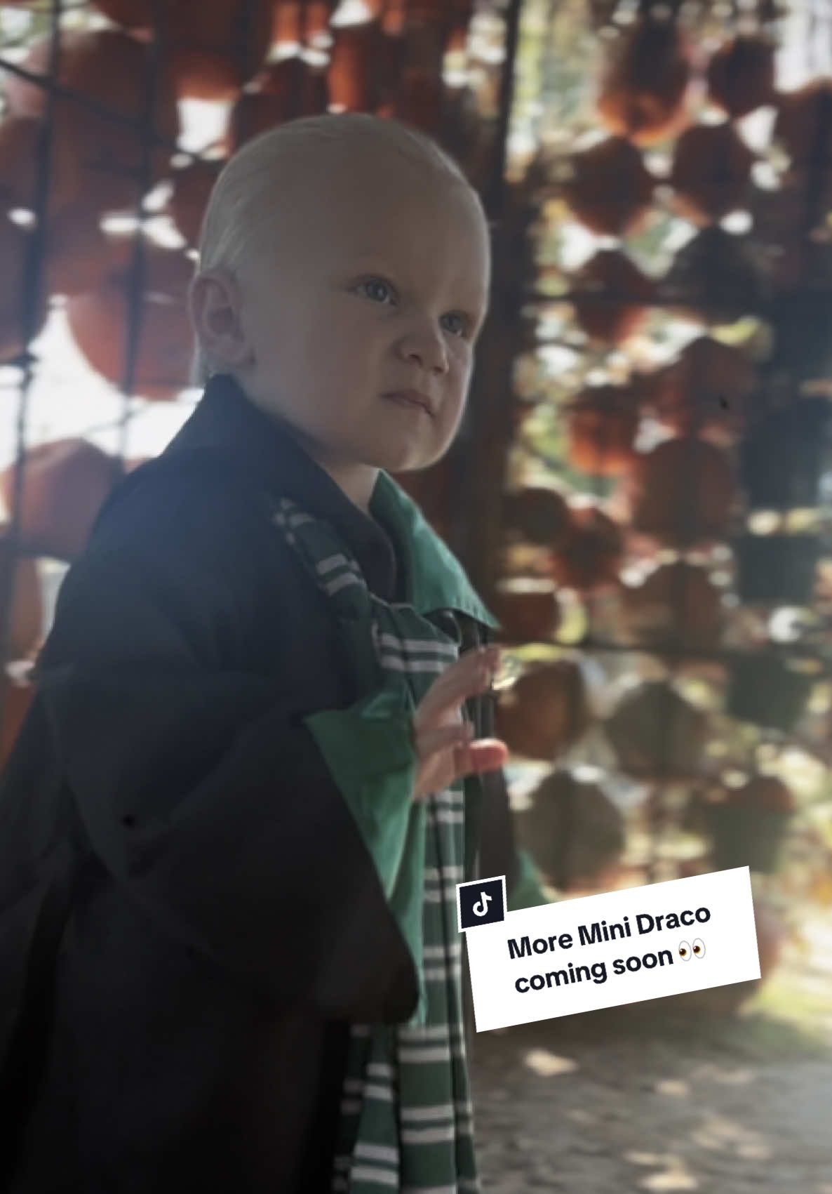 It’s almost Pumpkin House season again which means it’s time to dress my baby up as Baby Draco again or should I say Toddler Draco 😭 