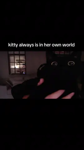 she is SO cute 🩵 #kitty #cute #caseoh #caseohsbigbiceps #fyp 