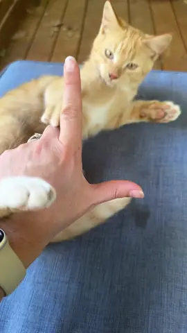 L…. 😆