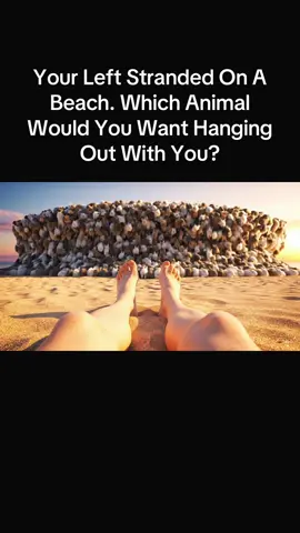 Replying to @Jannessa Valentin 4 Is My Favorite! How About You? 🐶🐷🐹 #youchoose #pickone #foryou #fypシ゚viral 