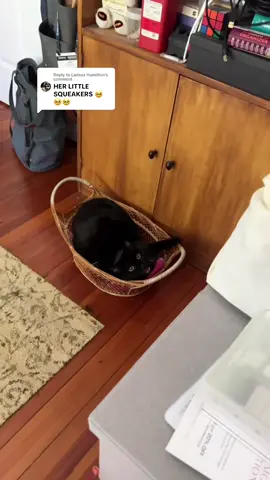 A compilation of all of Cleo’s creaky door squeaks  😻🖤 #catnoises #catsqueaks #cat #blackcat #void 