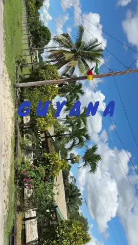 GUYANA 🇬🇾 #guyana #triptoguyana #Vlog #guyanatiktok #landofmanywaters 