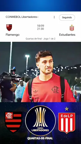 tá chegando a hora flamengo nas quartas de final da libertadores vamos flamengo jogaremos juntos #MemeCut #brasileirão2025 #FLAMENGO #viral #Futebol 