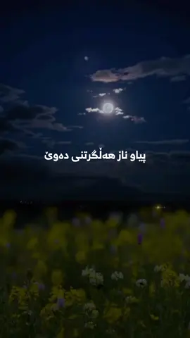 #qura #islamic_video #all #allah 