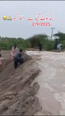 بند ٹوٹ گیا ہے2/9/2025 #flood #baresh # #panjab #creatorsearchinsights #foryou 