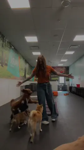 You get bored then remember you work with dogs. #fyp #dogtopia #dogdaycare #dogs #fyp