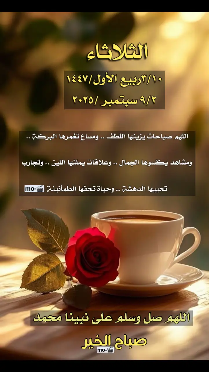 #صباح_الخير #ترند #اكسبلور #طبرجل_القريات_تبوك #ترندات_تيك_توك 