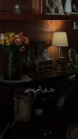 #راشد_الماجد #راشد_الماجد🤍 #راشديات💙 #راشديات#ترند 