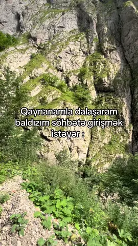 Balaca düdüyyy😂😂😂😂#keşfetteyizzz #pokemontiktok #ironia #pokemoncards #keşfetedüş 
